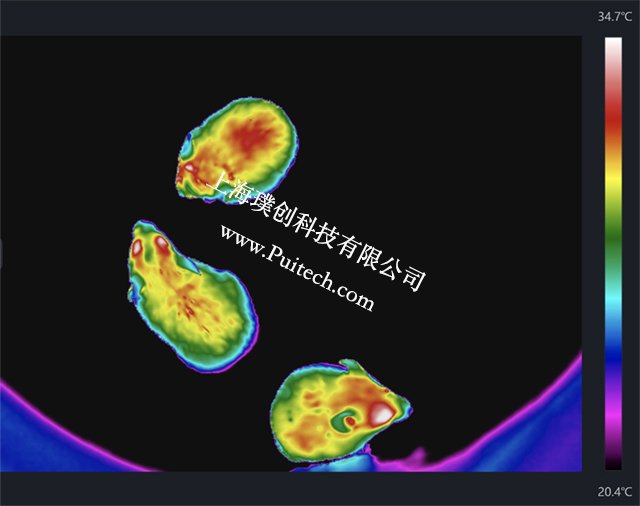 ??滴⒂昂焱馊瘸上窦际醵允笛樾∈蠼锌蒲泄鄄? onerror=